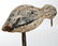 Three Carved and Painted Shore Birds, One Signed - 7