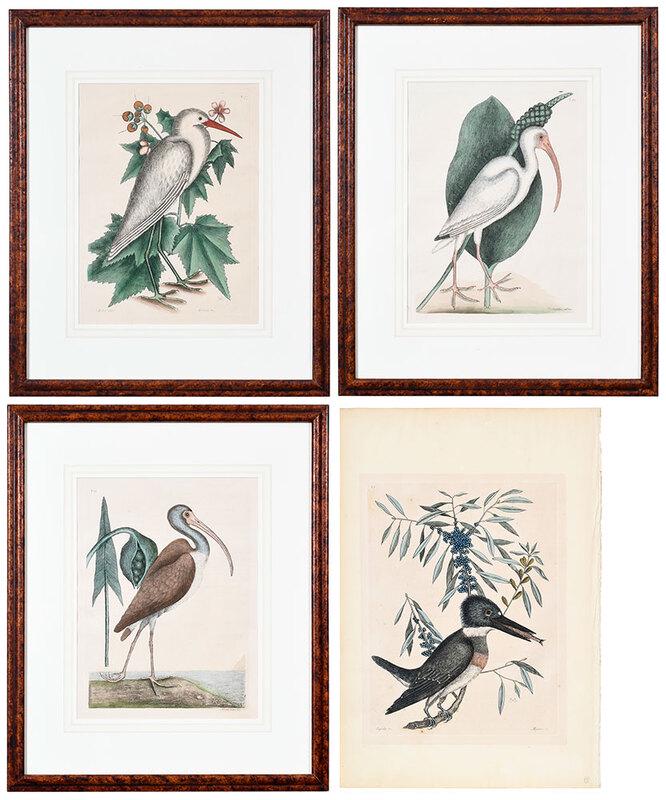 Mark Catesby: (British, 1679-1749)Four waterbirds fromÿNatural History of Carolina, Florida, and the Bahama Islands, London, 3rd edition: The King's Fisher, T. 69 ;The Brown Curlew, T. 83; The Little White Heron,