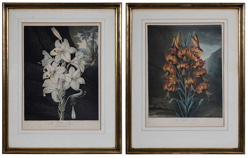 Robert John Thornton, Publisher: (British, 1768-1837)Two plates from The Temple of Flora, 1799-1810:ÿThe Superb Lily, 1799, 19 x 14-1/4 in. sheet 21-1/4 x 17 in.;ÿThe White Lily with Variegated-leaves,ÿ1800, plate 21 x 15-7/8 in. 