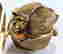 item-93161925=12