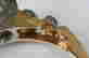 item-93161931=9