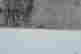 item-96983645=3