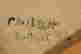 item-6618480=8