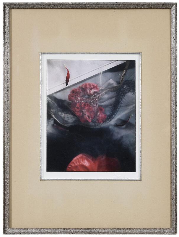 Sally Mann: (American, born 1951) Experimental Still Life, signed lower right "Sally Mann", color print, 9-1/2 x 7-1/2 in.; framed, 19-1/4 x 14-3/4 in. - Provenance: Private Collection, North Carolina