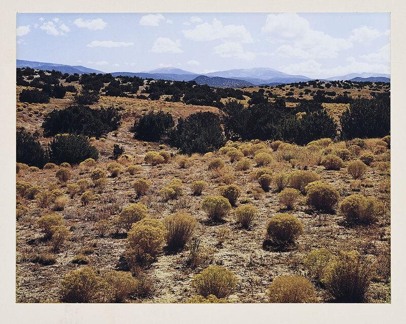 Elliot Porter (1 of 5)