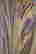 item-100430005=6