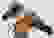 item-102597459=4