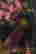 item-106037244=3
