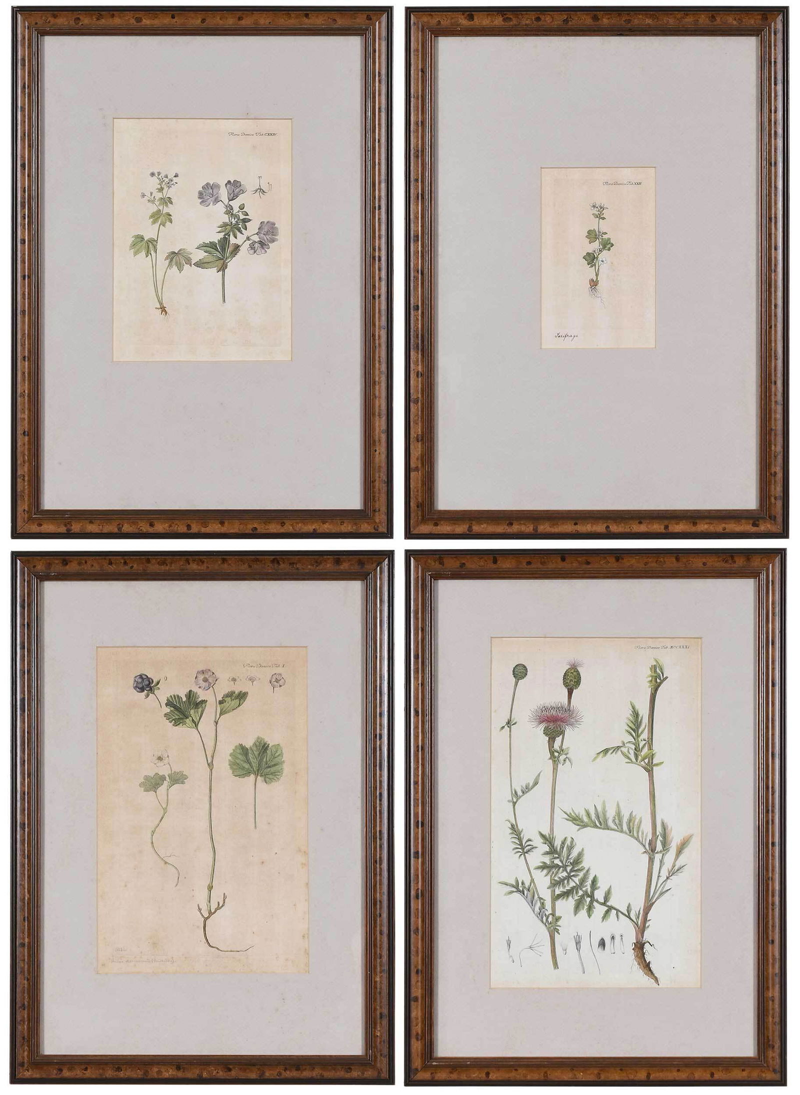 Four Framed Flora Danica Prints (1 of 11)