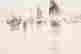 item-110293257=4