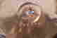 item-110953438=5