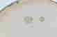 item-110953502=4