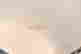 item-110953504=4