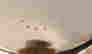 item-110953505=4