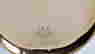 item-110953655=4
