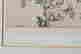 item-116679797=3