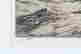 item-116679816=10