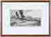 item-116679816=3