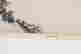 item-116679838=2
