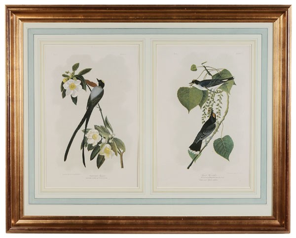 After John James Audubon: (New York, 1785-1851), "Forked-Tailed Fly Catcher, Plate 53", Tyrant Fly Catcher, Plate 56, chromolithographs on wove paper, double elephant folios, from John Woodhouse Audubon, [The Birds of America,