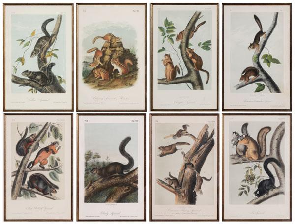 After John James Audubon: (New York, 1785-1851), "Eight Octavo Edition Prints", lithographs with hand coloring on wove paper: one first edition, seven second editions, from John James Audubon, [The Viviparous Quadrupeds of Nor