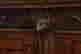 item-121085262=3