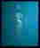 item-121085266=2