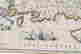 item-121085287=11
