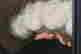 item-121085291=7