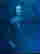 item-121085293=18