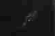 item-121085293=7