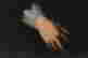 item-121085293=8