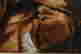item-121085294=6