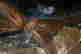 item-121085296=7