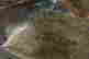item-121085296=8