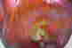 item-121085421=12