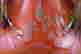 item-121085421=9