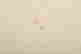 item-121085489=3