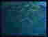 item-121085554=2