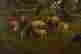 item-121085554=3