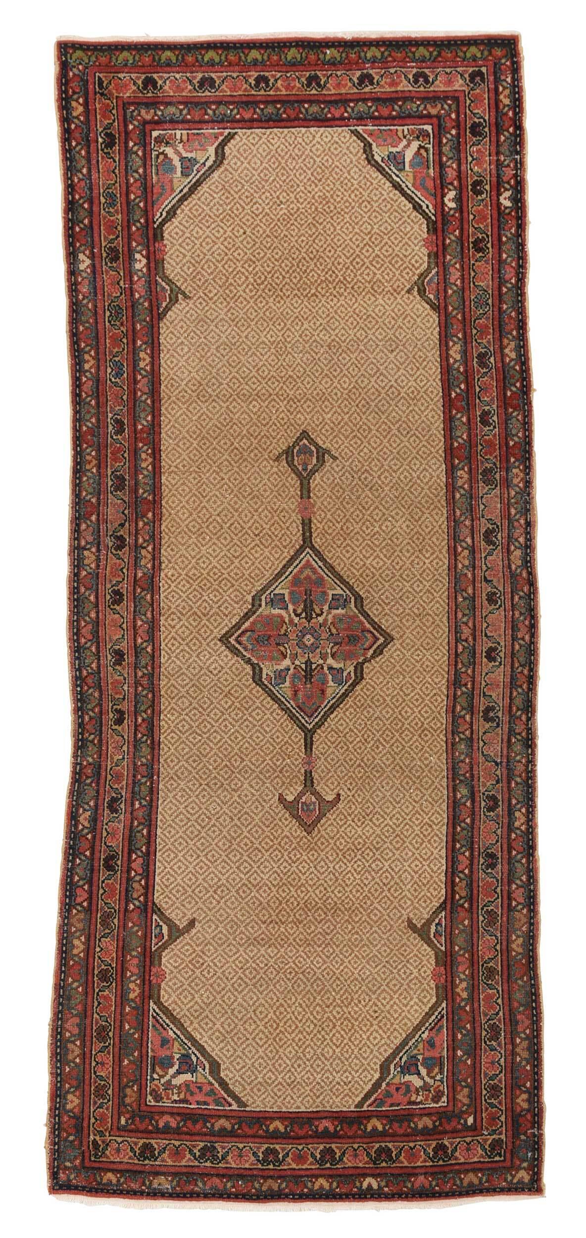 Hamadan Rug (1 of 5)