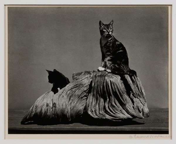 Edward Weston Photograph: (American, 1886-1958), "Marco Polo and Jasmine, 1944", silver gelatin print signed on mount "© Edward Weston, 1944" in pencil, also signed "© Marco Polo and Jasmine" and "C44-CTS-19" in pencil on mo