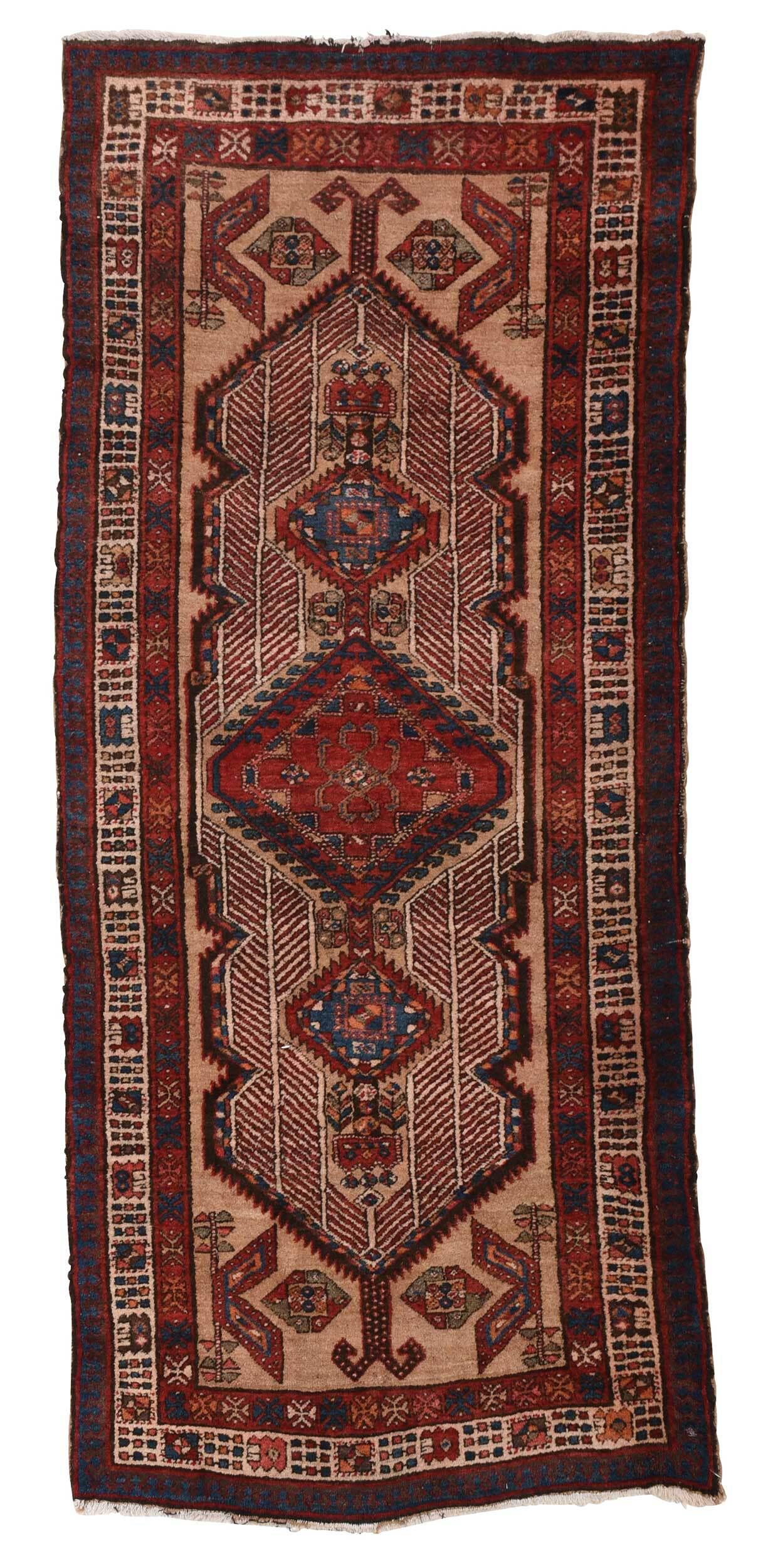 Hamadan Rug (1 of 5)