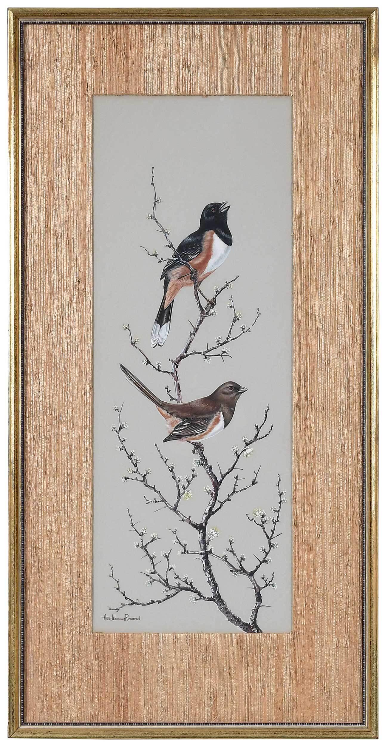 Anne Worsham Richardson (1 of 5)