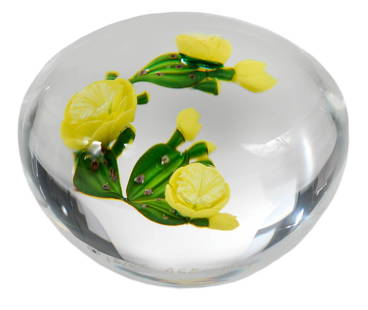 Paul J. Stankard 'Prickly Pear' Glass Paperweight: American, dated 1979, paperweight encasing lampworked botanically lifelike prickly pear cactus, with yellow blooms and green spiny pads, cane signature "S" with inscription "15/25", "A651" and date