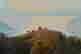 item-128007829=4