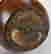 item-128008359=6