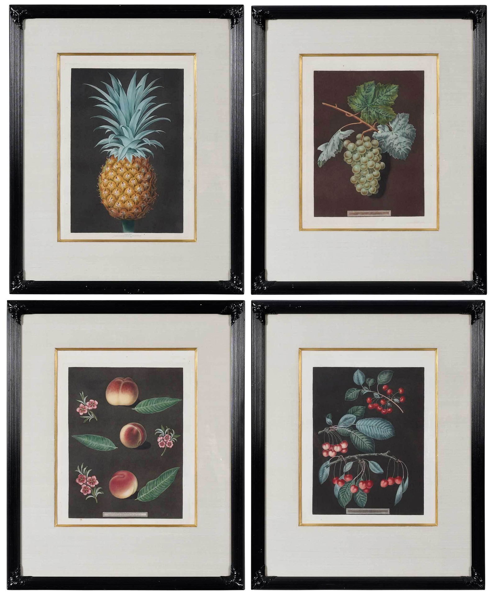 Four Aquatints of Fruits After George Brookshaw: (British, 1751-1823) from Pomona Britannica, 1812, aquatints with hand coloring, sight 18-1/2 x 14-3/4 in.; matching black painted frames 31-1/4 x 25-1/2 in. Provenance: Private Collection