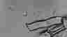 item-128008424=8