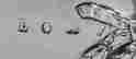 item-128008424=9